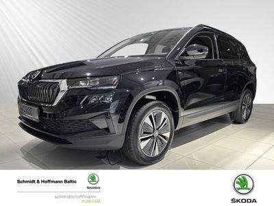 SKODA Karoq Tour Klima Navi Einparkhilfe Fenster el.