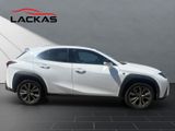 LEXUS UX 250 h F-Sport Design NAVI+CARPLAY+LENKRADH.