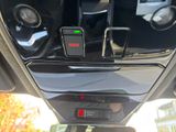 RENAULT Austral Esp. Alp.+NAV+LHZ+SHZ+CAM+el.Heckklappe+