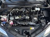 TOYOTA C-HR Hybrid Team D *SitzH*Kamera*