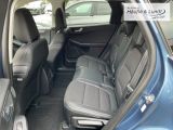 FORD Kuga Plug-In Hybrid Titanium X AHK GJR ACC Navi
