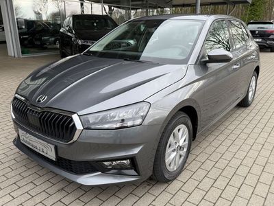 SKODA Fabia Selection Kamera/WinterPak/Klimaauto/GV5