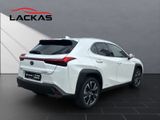 LEXUS UX 250h*STYLE*1HD*CARPLAY*SHZ* 15J-GARANTIE*