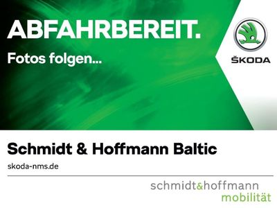 SKODA Kamiq Tour Klima Rückfahrkamera Sitzheizung