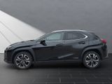 LEXUS UX 250h*STYLE*1HD*VELOURS* 15J-GARANTIE*