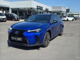 LEXUS UX 300h F Sport HuD+LEDER+MEMORY+SITZKLIMA