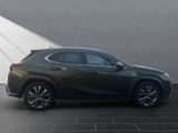 LEXUS UX 250h F-SPORT Design ALLWETTER+1.Hand