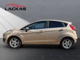 FORD Fiesta Titanium *Kamera*SHZ*