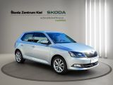 SKODA Fabia 1.0 MPI Joy Green tec Klima Einparkhilfe