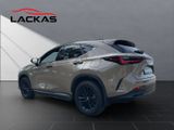 LEXUS NX 350h Overtrail E-FOUR PANORAMA+Trittbretter