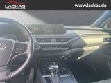 LEXUS UX 250h 250 h 250h*LED*KAMERA* TOP*TWW*DAB*SERVI