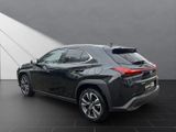 LEXUS UX 250h*STYLE*1HD*CARPLAY* 15J-GARANTIE*
