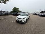 TOYOTA C-HR HYBRID LOUNGE*LEDER*SEHR GEPFLEGT