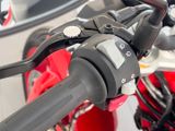 BMW G 310 R +Style-Passion+