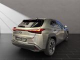 LEXUS UX 250H*STYLE*1HD* 15J-GARANTIE