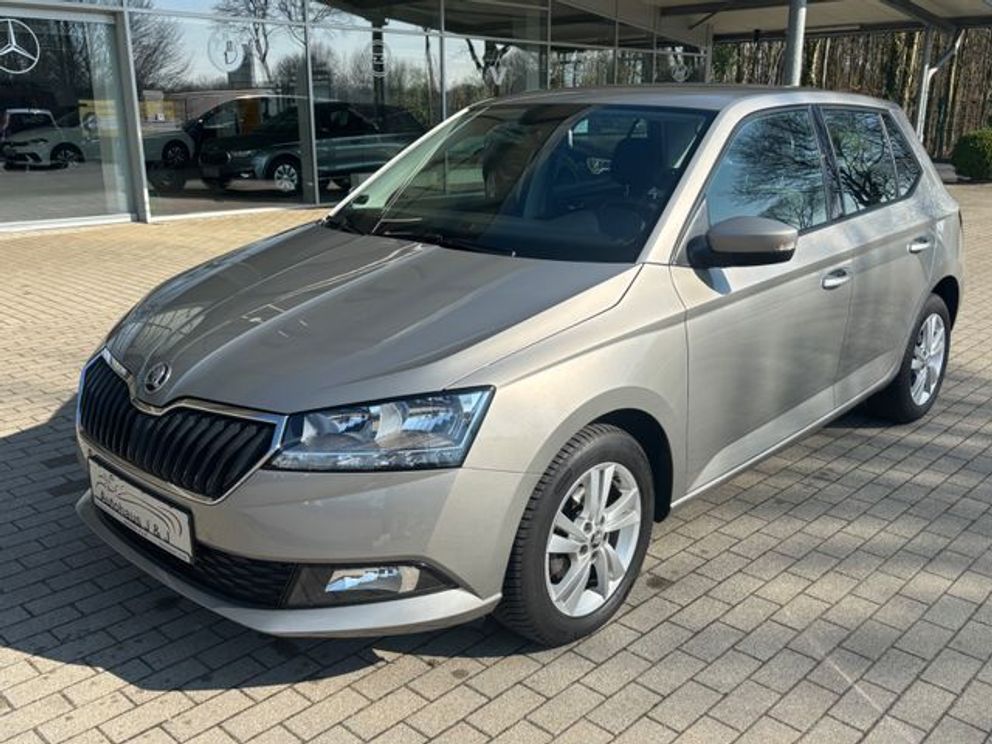 SKODA Fabia Ambition 1.0TSI /SHZ/Kamera/AppConnect/Tem