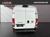 FIAT Ducato Ducato L3H2 MY25 Kastenwagen Techno,Cargo