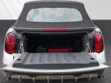 MINI Cooper S Cabrio JCW Trim Navi ACC HUD H&K Keyless