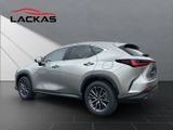 LEXUS NX 450h + Business E-FOUR