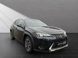 LEXUS UX 250h*STYLE*1HD*CARPLAY* 15J-GARANTIE*