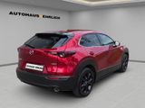 MAZDA CX-30 Homura 2WD AHK+BOSE+NAVI+360°KAMERA+LHZ