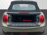 MINI Cooper Cabrio LED Navi PDC SHZ Leder Klima BT