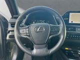 LEXUS UX 250H*F-SPORT-DESIGN*CARPLAY*15 JAHRE GARA