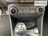 FORD Fiesta Titanium 1.0 EcoBoost ACC SHZ LED Privacy Scheinwerferreg. Apple CarPlay Android Auto