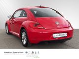 VW Beetle Design Klima Einparkhilfe Klima
