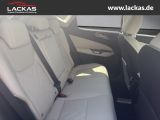 LEXUS NX 350h h 243 PS Executive Inter ieur Paket + Te