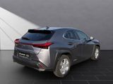 LEXUS UX 250 h*KAMERA*