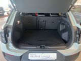 FORD Explorer Collection RWD 79kWh B&O Soundsystem Wärmepumpe